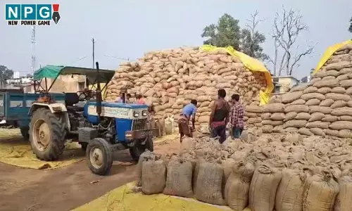 Jashpur Paddy News: जशपुर जिले के सभी 46 धान खरीदी केंद्रों में आवश्यक संसाधनों की उपलब्धता, खरीदी केंद्र में दी जा रही है सभी सुविधाएं