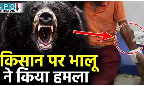 GPM Bear Attack News: धान कटाई करने खेत गए किसान पर भालू ने किया हमला, किसान गंभीर रूप से घायल...