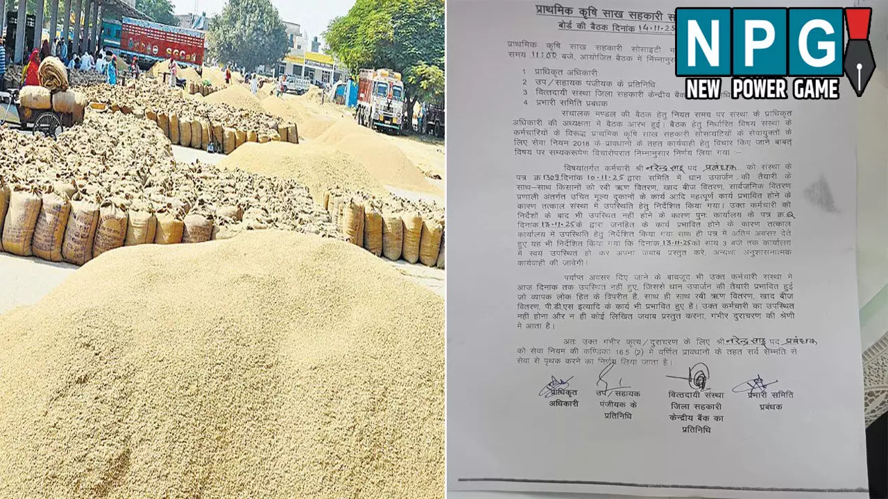 CG News: धान खरीदी में बाधा: समिति प्रबंधक बर्खास्त, बोर्ड ने सेवा से किया बर्खास्त, कल से शुरू हो रही है धान खरीदी CG News: धान खरीदी में बाधा: समिति प्रबंधक बर्खास्त, बोर्ड ने सेवा से किया बर्खास्त, कल से शुरू हो रही है धान खरीदी