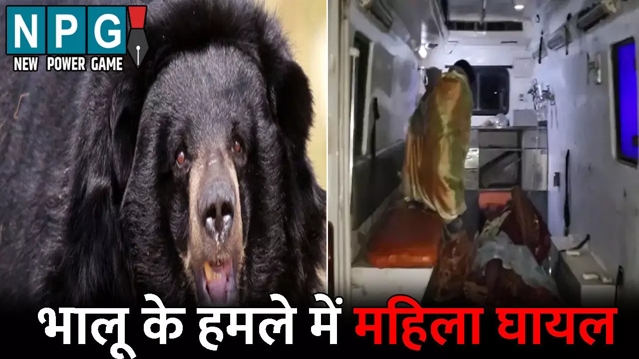 Gaurela Pendra Marwahi News: जंगली जानवरों का आतंक जारी: भालू के हमले में महिला घायल, वन विभाग ने लोगों से की ये अपील