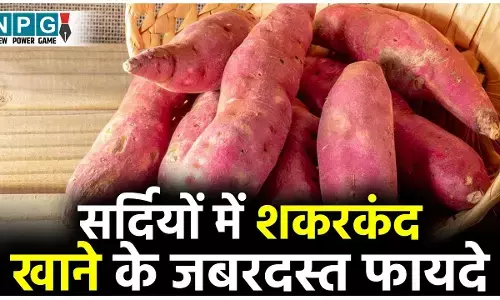 Sweet Potato Benefits: सर्दियों में रोज शकरकंद खाने से मिलेंगे ये जबरदस्त फायदे...