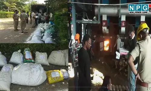 Kabirdham News: 1.23 करोड़ का गांजा व प्रतिबंधित दवाइयों का भस्मीकरण, पुलिस की बड़ी कार्रवाई