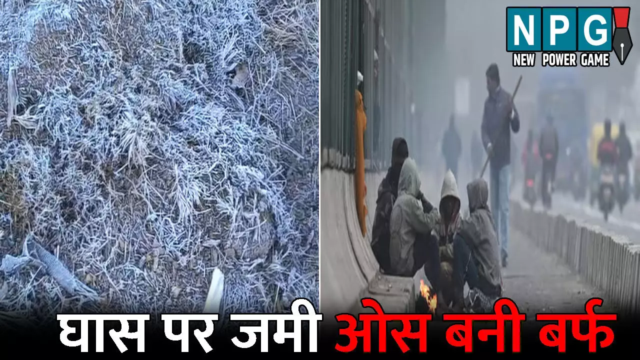 CG Me Aaj Ka Mausam: ठंड का प्रहार! घास पर जमी ओस बनी बर्फ, सभी जिले शीत लहर की चपेट में, जानिए आज का मौसम कैसा रहेगा?