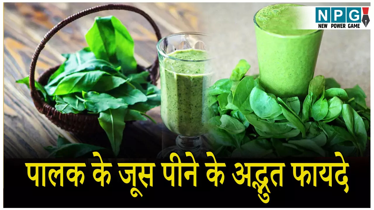Palak ke juice pine ke fayde: अगर शरीर में बढ़ गई है चर्बी और करना है Weight Loss; जानिए पालक के जूस पीने के अद्भुत फायदे