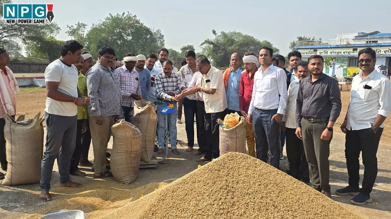 CG Paddy Purchased: धान खरीदी तिहार, कांटा-बाट का विधिवत पूजा-पाठ कर छत्तीसगढ़ में धान खरीदी शुरू, नहीं दिखा हड़ताल का असर, किसानों में भारी उत्साह