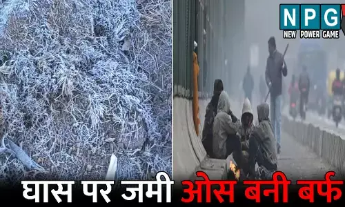 CG Me Aaj Ka Mausam: ठंड का प्रहार! घास पर जमी ओस बनी बर्फ, सभी जिले शीत लहर की चपेट में, जानिए आज का मौसम कैसा रहेगा?