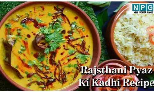 Rajsthani Pyaz Ki kadhi Recipe: सर्दी से परेशान? बनाकर खाइये गर्मागर्म प्याज की कढ़ी, मिलेगी राहत