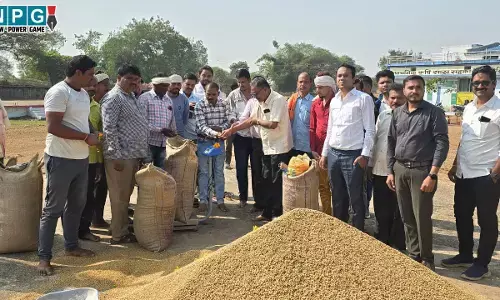 CG Paddy Purchased: धान खरीदी तिहार, कांटा-बाट का विधिवत पूजा-पाठ कर छत्तीसगढ़ में धान खरीदी शुरू, नहीं दिखा हड़ताल का असर, किसानों में भारी उत्साह