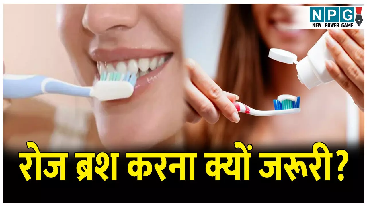 Roj Brush karna kyo jaruri h: एक दिन भी ब्रश न करने पर झेलनी पड़ सकती है यह समस्याएं, जानिए दातों से जुड़े अनोखे तथ्य