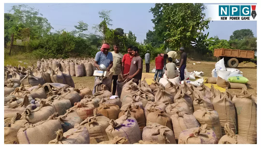 Raipur News: धान खरीदी में बाधा डालने पर रायपुर कलेक्टर की बड़ी कार्रवाई, 250 समितियों की राशन दुकानें निरस्त