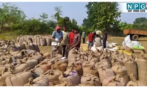 Raipur News: धान खरीदी में बाधा डालने पर रायपुर कलेक्टर की बड़ी कार्रवाई, 250 समितियों की राशन दुकानें निरस्त