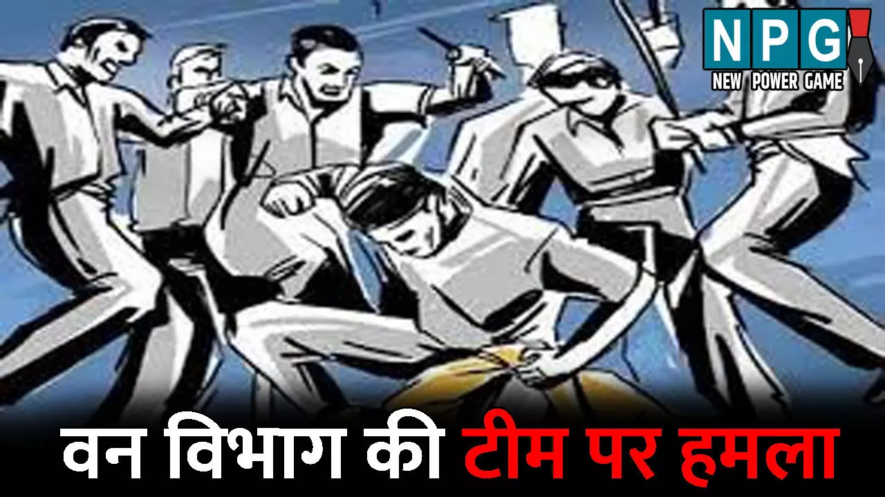 Korba News: वन विभाग की टीम पर हमला...लकड़ी तस्करों ने दौड़ा-दौड़ाकर पीटा, तस्करी की सूचना पर टीम ने मारा था छापा