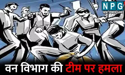 Korba News: वन विभाग की टीम पर हमला...लकड़ी तस्करों ने दौड़ा-दौड़ाकर पीटा, तस्करी की सूचना पर टीम ने मारा था छापा