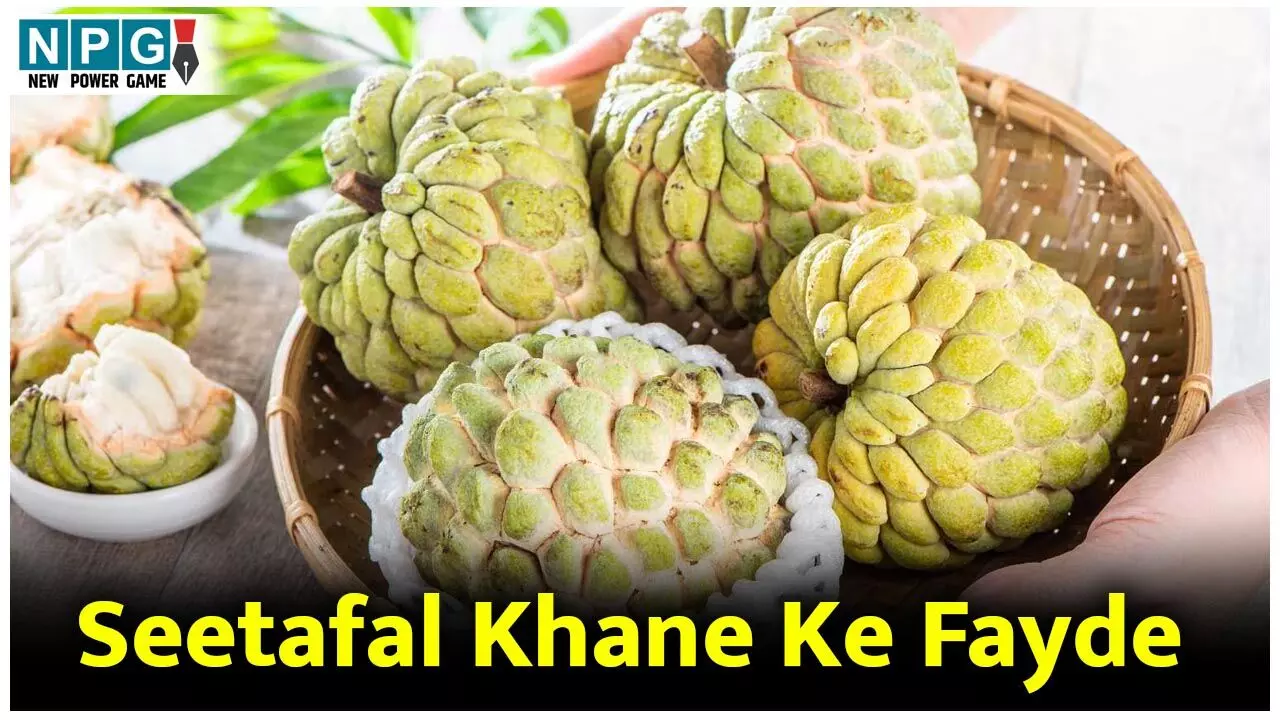 Seetafal Khane Ke Fayde: सर्दी में एक सीताफल रोज़ खाने से मिलेंगे ये गज़ब के फायदे...
