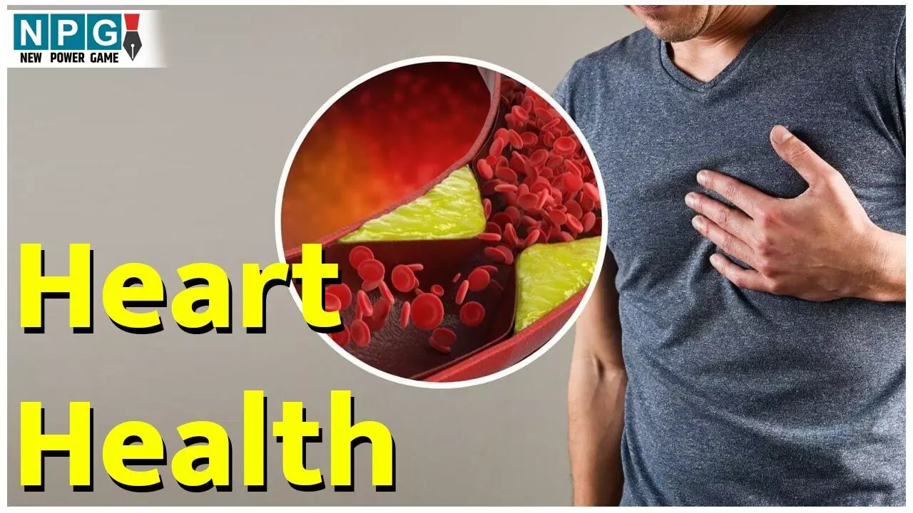 Heart Health: कोलेस्ट्रॉल घटेगा, ब्लड प्रेशर भी होगा कंट्रोल, अगर ले लिया इनमें से कोई भी एक देसी ड्रिंक