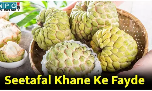 Seetafal Khane Ke Fayde: सर्दी में एक सीताफल रोज़ खाने से मिलेंगे ये गज़ब के फायदे...