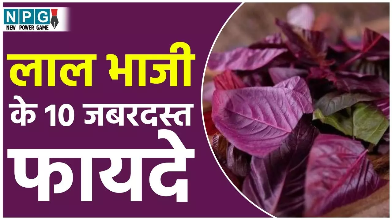 Lal Bhaji Ke Fayde: लाल भाजी खाने के 10 जबरदस्त फायदे जानिये...