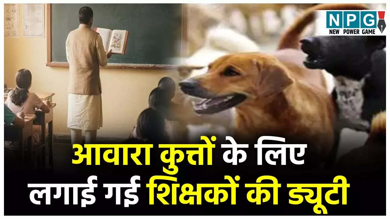 CG Teacher News: आवारा कुत्तों के प्रबंधन हेतु अब लगाई गई शिक्षकों की ड्यूटी, बनाए गए नोडल अधिकारी, डीपीआई ने किया आदेश जारी