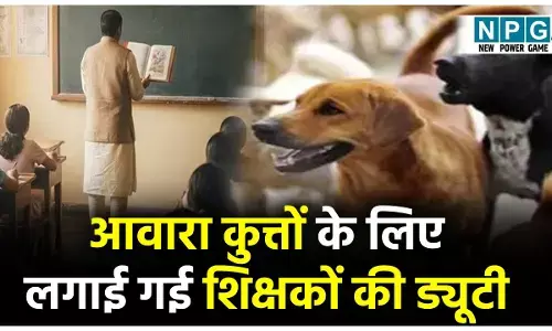 CG Teacher News: आवारा कुत्तों के प्रबंधन हेतु अब लगाई गई शिक्षकों की ड्यूटी, बनाए गए नोडल अधिकारी, डीपीआई ने किया आदेश जारी