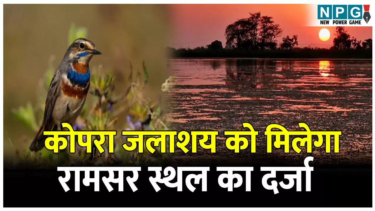 CG Kopra Dam: छत्तीसगढ़ के कोपरा जलाशय को मिलेगा रामसर स्थल का दर्जा, राज्य वेटलैंड प्राधिकरण ने भेजा प्रस्ताव
