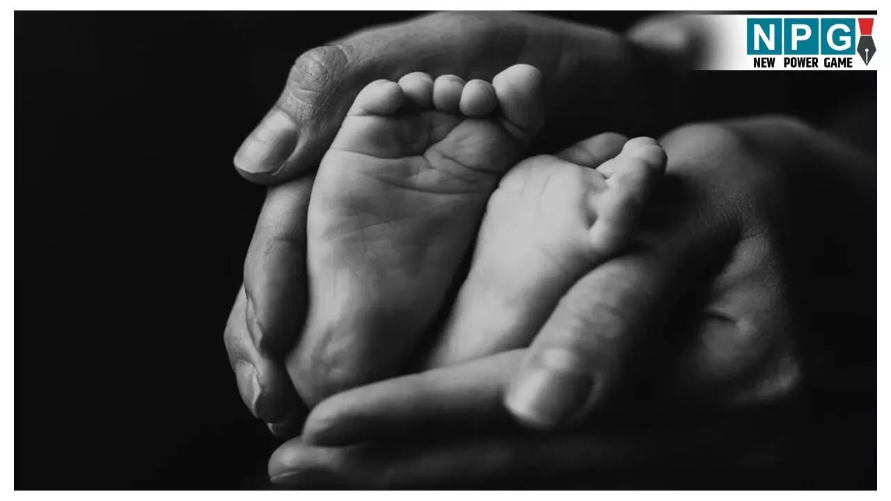 CG News: कलेक्टर ने ली जिला स्वास्थ्य समिति की बैठक, मातृ एवं शिशु मृत्यु दर घटाने ने दिए कड़े निर्देश