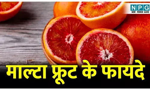 Malta fal khane ke fayde: इस एक फल में है अनोखे औषधीय गुण, जानिए पहाड़ी फलों के राजा, माल्टा फ्रूट के बारे में