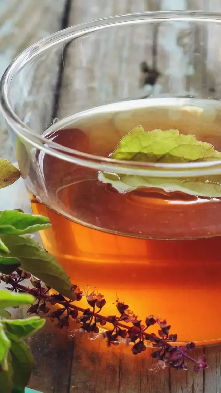 Tulsi Pani Pine Ke Fayde: रोज ऐसे करें तुलसी का उपयोग, पड़ेगा सेहत में फर्क,रह जाएंगे हैरान