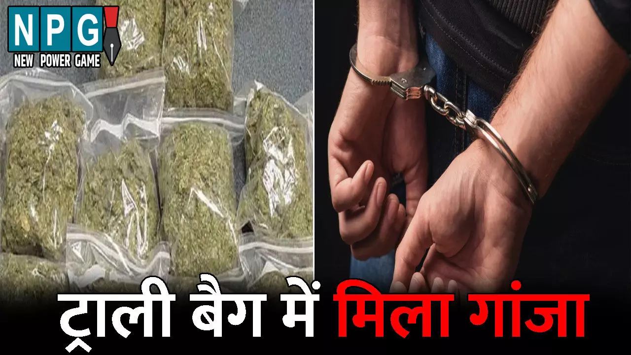Durg Crime News: ट्राली बैग में कपड़ों की जगह गांजा लेकर पहुंचा रेलवे स्टेशन...बेचने निकला तो पुलिस ने पकड़ा, कब्जे से 5 लाख का गांजा बरामद