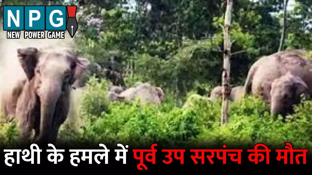 Surajpur News: गजराज का आतंक जारी! पूर्व उप सरपंच को कुचलकर उतारा मौत के घाट, तीन लोगों ने भागकर बचाई अपनी जान