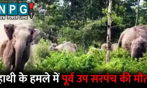 Surajpur News: गजराज का आतंक जारी! पूर्व उप सरपंच को कुचलकर उतारा मौत के घाट, तीन लोगों ने भागकर बचाई अपनी जान