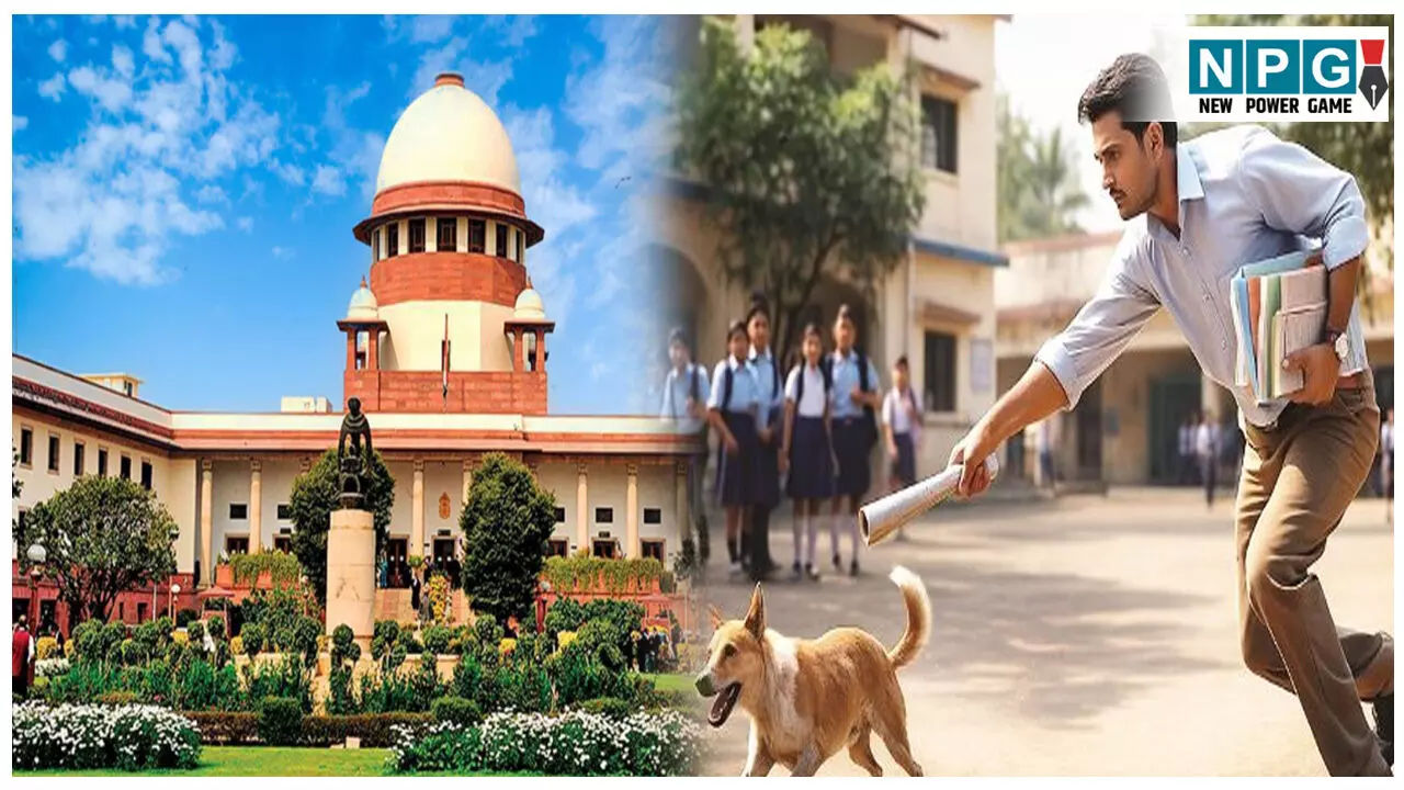 Supreme Court News: शिक्षकों द्वारा कुत्ते भगाने के मामले को शिक्षा विभाग ने किया स्प्ष्ट, सुप्रीम कोर्ट का ये है निर्देश