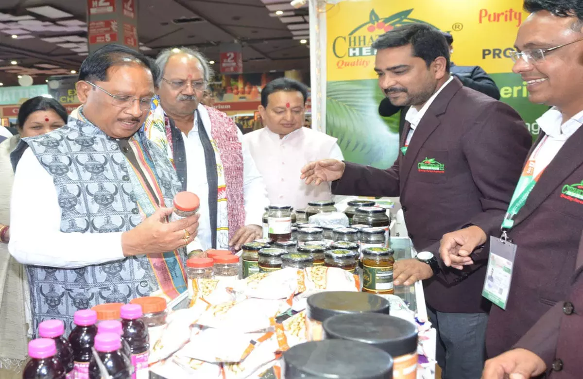 CG News: अंतरराष्ट्रीय व्यापार मेले में CM विष्णुदेव ने छत्तीसगढ़ पेवेलियन का किया अवलोकन, पारंपरिक कला ने खींचा देश-विदेश के खरीदारों का ध्यान