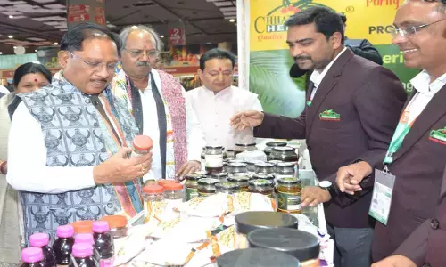 CG News: अंतरराष्ट्रीय व्यापार मेले में CM विष्णुदेव ने छत्तीसगढ़ पेवेलियन का किया अवलोकन, पारंपरिक कला ने खींचा देश-विदेश के खरीदारों का ध्यान