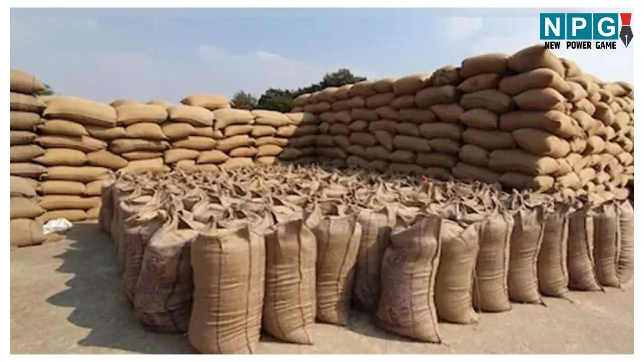 Mahasamund News: कलेक्टर ने धान उपार्जन केन्द्रों एवं अंतर्राज्यीय चेक पोस्ट का किया निरीक्षण, अवैध धान की खरीदी-बिक्री पर सख्त कार्रवाई के दिए निर्देश