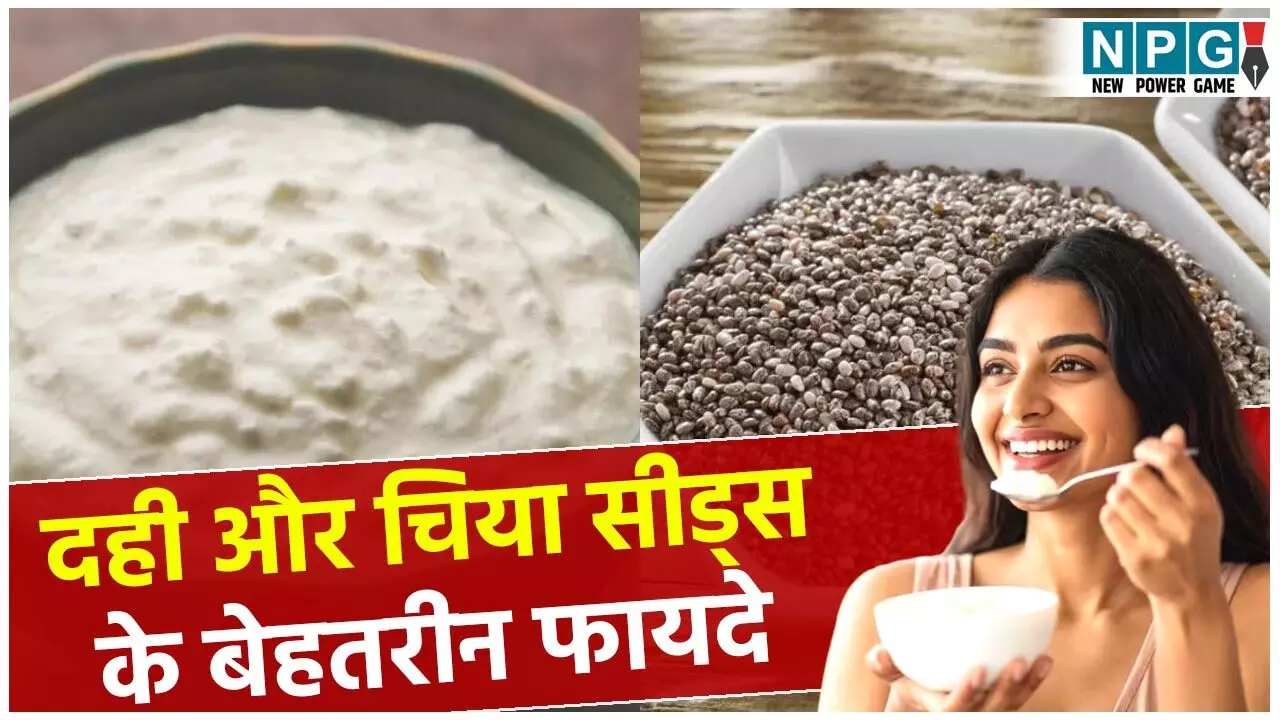 Curd With Chia Seeds Benefits: दही और चिया सीड्स का साथ बनाता है इसे एक पावर पैक ब्रेकफास्ट, जानिये इसके बेहतरीन फायदे...