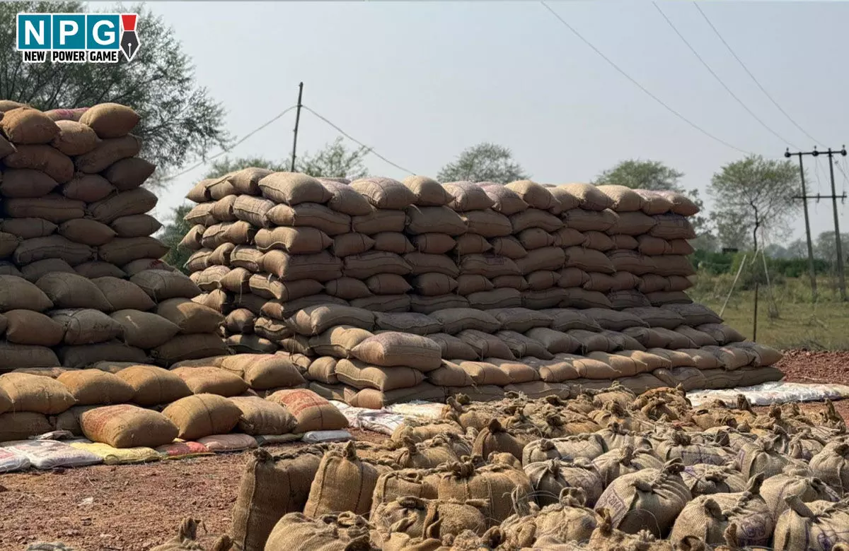 Mungeli News: 17 व्यापारियों से 13 लाख रूपए का पुराना धान जब्त, मण्डी अधिनियम के तहत प्रकरण हुआ दर्ज...