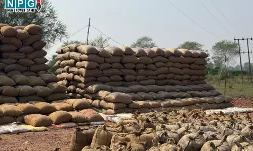 Mungeli News: 17 व्यापारियों से 13 लाख रूपए का पुराना धान जब्त, मण्डी अधिनियम के तहत प्रकरण हुआ दर्ज...