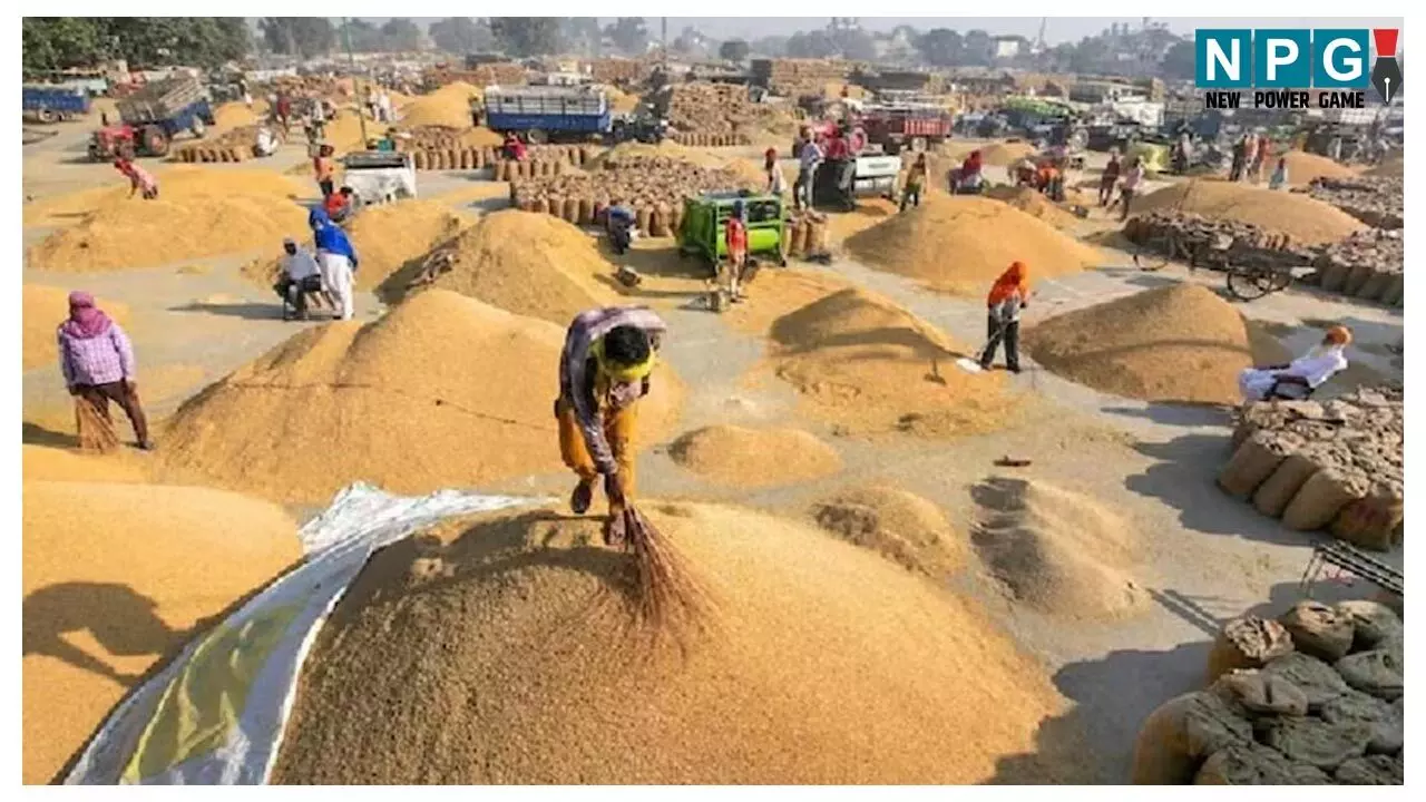 Bemetara News: कलेक्टर ने दी समय-सीमा बैठक में सख्त हिदायत, धान खरीदी में पारदर्शिता अनिवार्य-गड़बड़ी पर होगी सख्त कार्रवाई