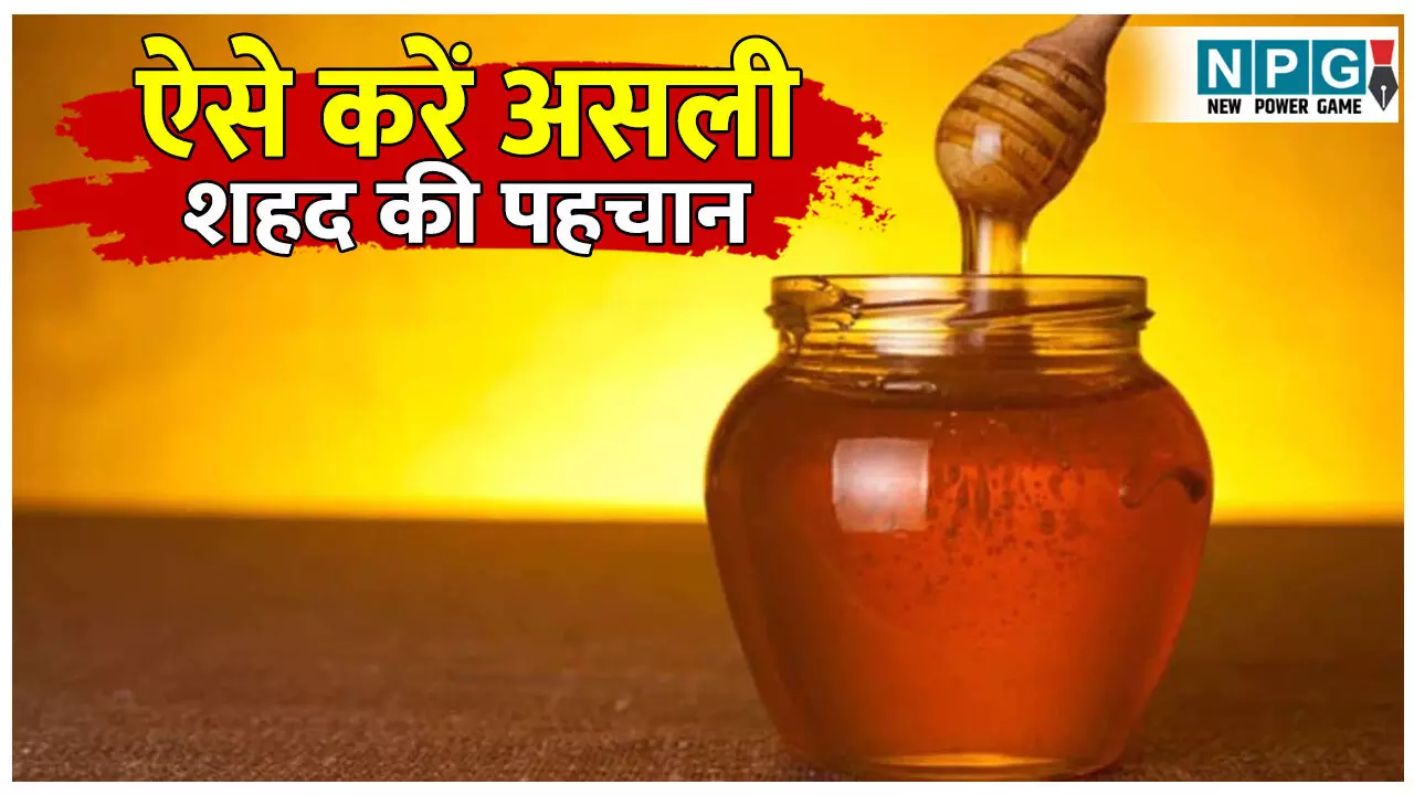 Asli shahad ki pahchan kaise karen: आपके घर का शहद असली है या नकली!  इन 5 घरेलू तरीकों से कभी नहीं होगा धोखा, पढ़िए पूरी डिटेल…