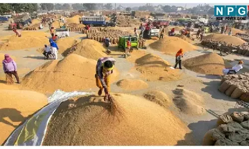 Bemetara News: कलेक्टर ने दी समय-सीमा बैठक में सख्त हिदायत, धान खरीदी में पारदर्शिता अनिवार्य-गड़बड़ी पर होगी सख्त कार्रवाई