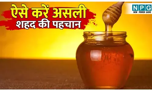 Asli shahad ki pahchan kaise karen: आपके घर का शहद असली है या नकली!  इन 5 घरेलू तरीकों से कभी नहीं होगा धोखा, पढ़िए पूरी डिटेल…