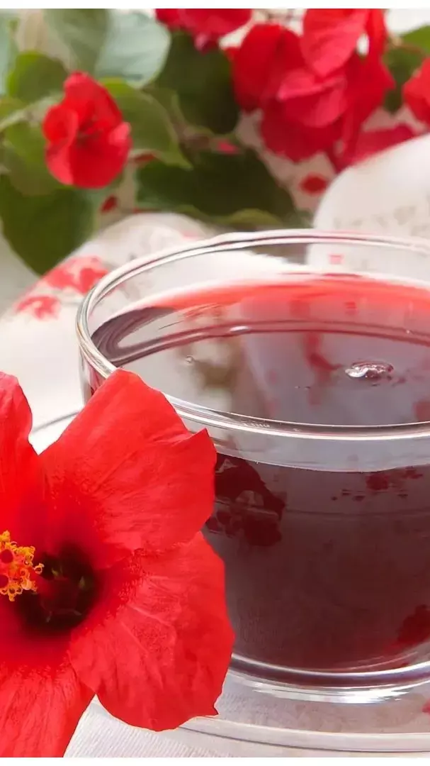 Gudhal Phool Ki Chai Ke Fayde: ठंड में गुड़हल फूल की चाय पीने के क्या फायदे हैं? जानिए