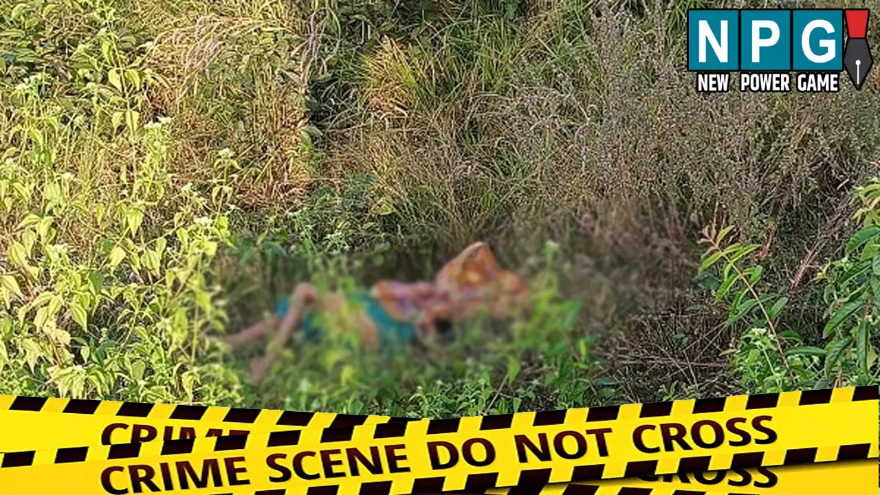Raigarh Murder News; ग्रामीण की बेरहमी से हत्या: डंडे से पीट-पीटकर उतारा मौत के घाट, प्राइवेट पार्ट पर मिले...