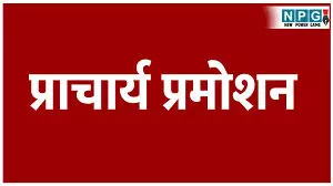 CG Principal News: बरसों से स्कूल का मुंह नही देखने वाले व्याख्याता प्राचार्य प्रमोट होने पर फिर अधिकारी बनने के लिए लगाने लगे जुगाड़ CG Principal News: बरसों से स्कूल का मुंह नही देखने वाले व्याख्याता प्राचार्य प्रमोट होने पर फिर अधिकारी बनने के लिए लगाने लगे जुगाड़