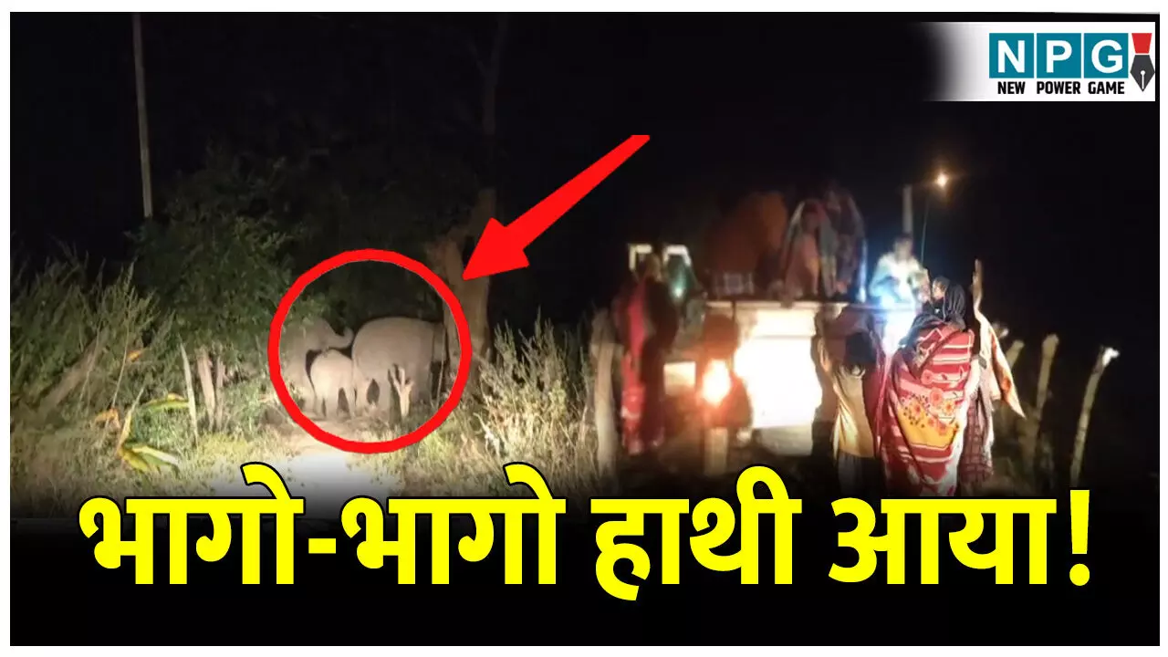 CG News: 65 हाथियों का दल: जान जोखिम में डालकर वन विभाग ने ग्रामीणों को गांव से निकाला सुरक्षित, देखें VIDEO