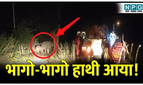 CG News: 65 हाथियों का दल: जान जोखिम में डालकर वन विभाग ने ग्रामीणों को गांव से निकाला सुरक्षित, देखें VIDEO