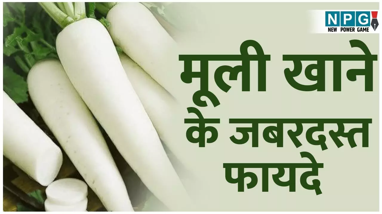 Mooli Khane Ke Fayde: मूली नहीं मामूली... सर्दियों में मूली खाने के जबरदस्त फायदे जानिए