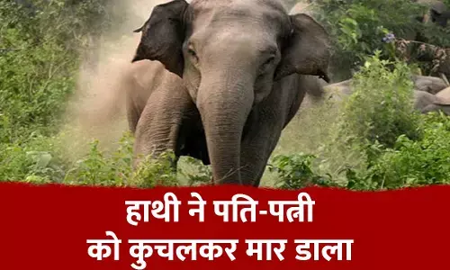 Surajpur Elephant Attack