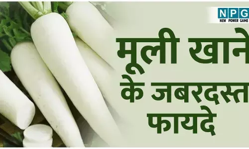 Mooli Khane Ke Fayde: मूली नहीं मामूली... सर्दियों में मूली खाने के जबरदस्त फायदे जानिए