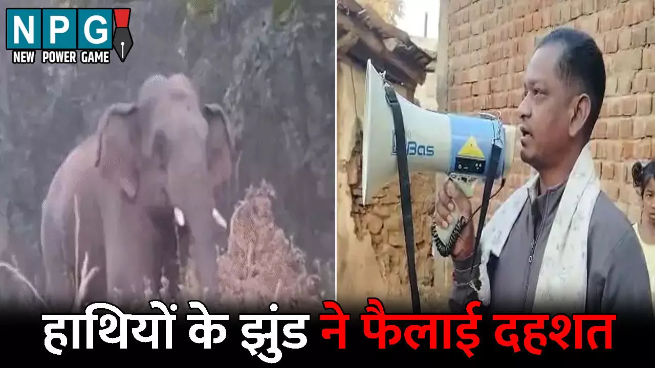 Sakti News: 13-13 हाथियों के दो झुंड ने फैलाई दहशत...फसलों को रौंदकर किया बर्बाद, अलग-अलग जिलों में चार लोगों को कुचलकर उतारा मौत के घाट, वन विभाग ने जारी की चेतावनी